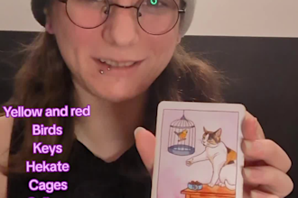 give you a heartfelt and honest tarot reading