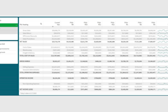 build ready investor financial models, projections, forecasts or business plan
