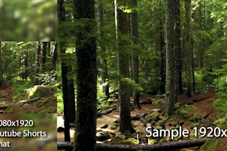 do any video cropping, and trimming, render video