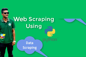 do data mining, web automation, and website scraping using python