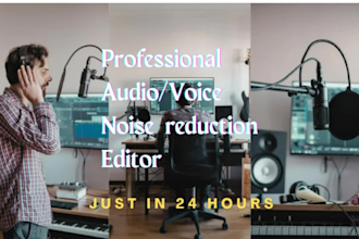 do professional noise reduction, audio editing for you