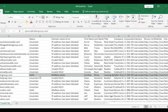 perform bulk email cleaning and list validation services