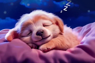 create lullaby baby sleep video