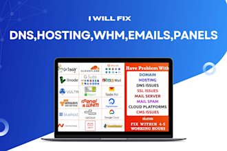 fix emails within cpanel hosting, wordpress, migration,dns