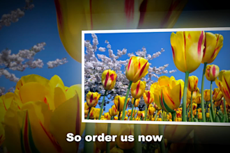 create amazing 3d photo and video slide show