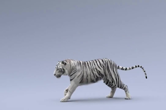 integrate realistic 3d animal modeling, 3d animal rigging, 3d animal animation
