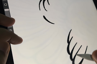 create hand drawn illustrations engraving style