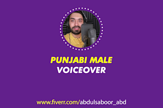 record professional punjabi voice overs