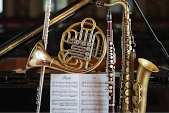 record professional saxophone, clarinet, flute or horn section