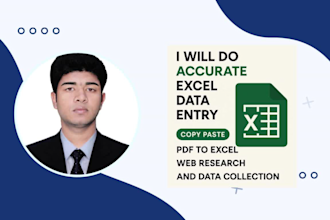 do accurate excel data entry, copy paste, PDF to excel, web research