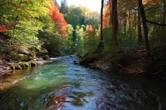 produce authentic nature sounds for your videos