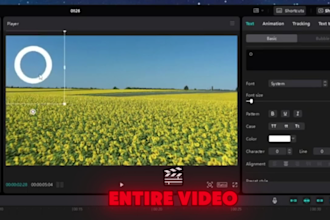 transcript translation and  video sub