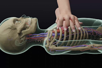 create medical animations for you
