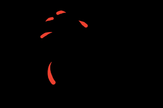 do text animation, logo animation, title animation video
