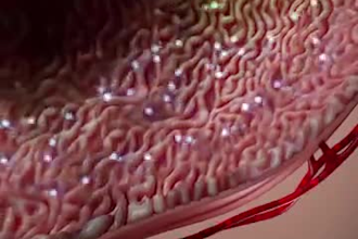 create 3d surgery animation, medical explainer video and health care animation