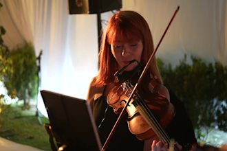 transcribe any song and create a lead sheet for violin