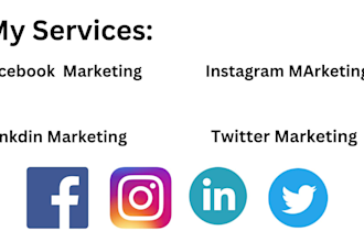 be your social media, instagram business account handler