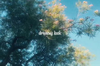 edit your video into vintage style and aesthetic vibe