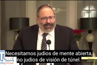 add professional english or spanish subtitles under 24h