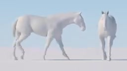 create 3d animal animation 3d animal model 3 animal design