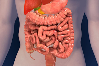 do professional 3d medical animations