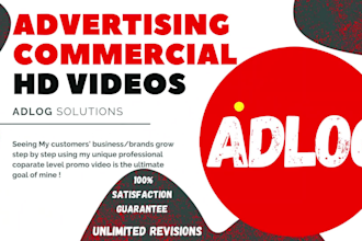 offer professional corporate level promo video services