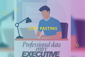 data entry executive accurate fast and reliable conversions and CRM entry