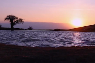 do professional video editing for vlog and travel video