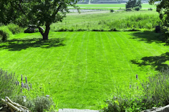 landscaping website, lawncare website, gardening website, farming website in 24h