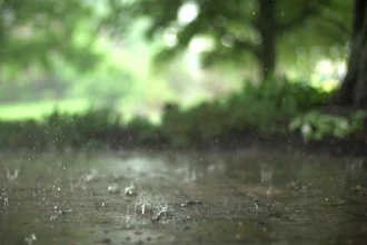create a music video using stock footage