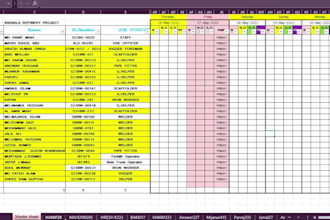create professional HR  admin excel reports attendance payslip time sheet
