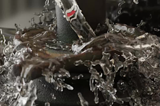 do a 3d nft animation short videos
