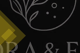 create a logo and mock up branding for your company with full copyrights