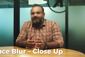 blur face, logo, and sensitive data in your videos