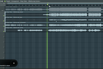 extract the acapella from any song for you