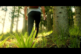enhance your videos with professional color grading