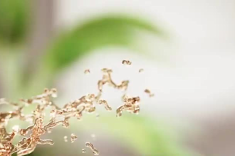 do 3d fluid water simulation 3d flower animation 3d plant vfx 3d cgi animation