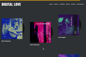 develop custom professional CSS, svg, js and gsap animation for website