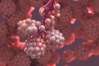 do 3d medical animation, 3d medical anatomy,3d surgery animation, scientific
