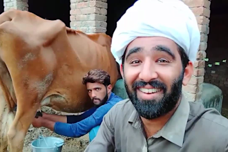 wish funny happy birthday video or happy birthday video