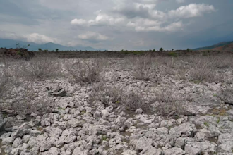 help with soil science or any environmental science projects