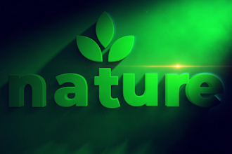 create a professional custom logo animation for you