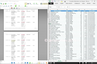 do PDF to excel or word data entry