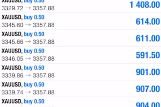 manage your mt5, mt4 account management with proper risk management