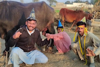 create happy feathers day video or african happy birthday video