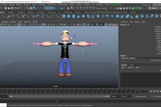 do 3d rigging for your character