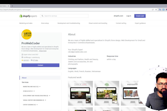fix any shopify errors and bugs and update your store