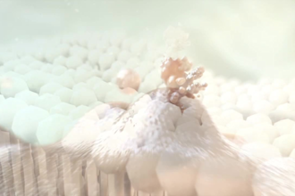 create high end 3d medical animations and illustrations