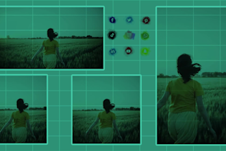 resize your videos for any platform
