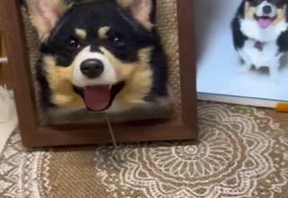 make your own pet doll